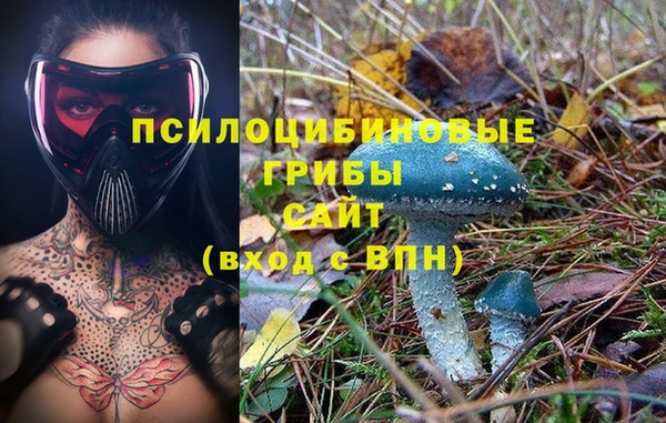 стафф Осташков